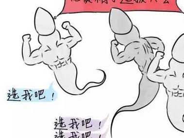 2026年海外生殖中心第三代试管婴儿技术成功案例分享