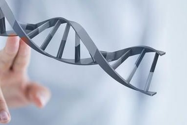 试管婴儿长大后的弊端是什么(三代试管婴儿技术促排卵有什么弊端呢)