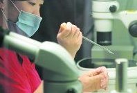 2026年在湖南长沙有三代试管不排队的医院吗？国内医院试管助孕的条件？